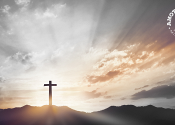 Jesus' Statements on the Cross - "Father Forgive Them"
