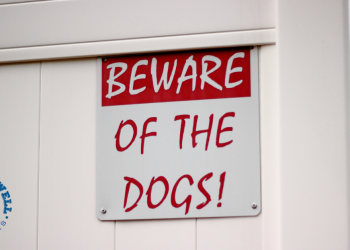 Beware of the dogs