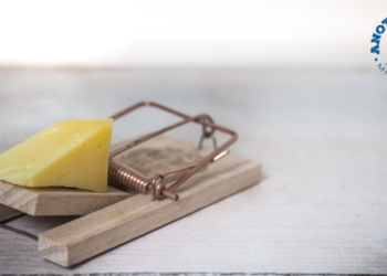 Be careful, it's a trap!