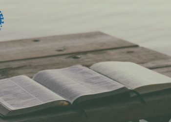 Looking for opportunities to serve