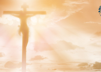 The purpose of your life