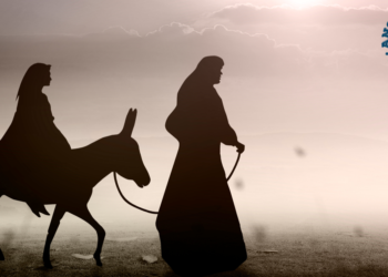 Following God’s plan