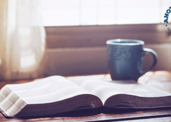 Guarding the landmarks