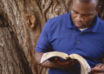 Using God's word to discern God's will