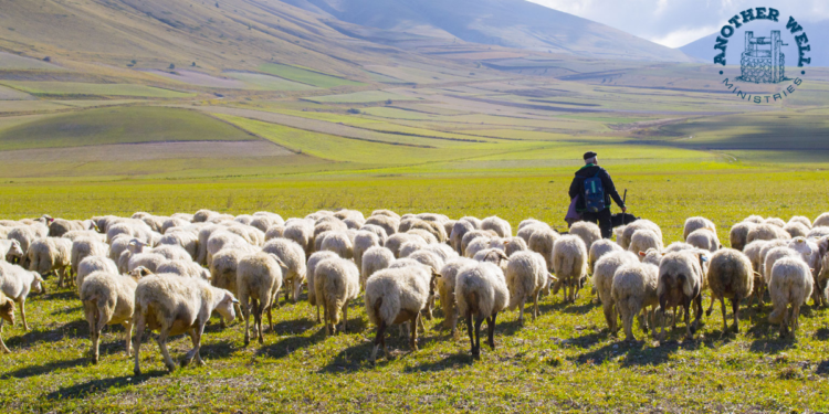 A Shepherd for all of your days