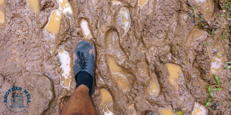 Stuck in the mud