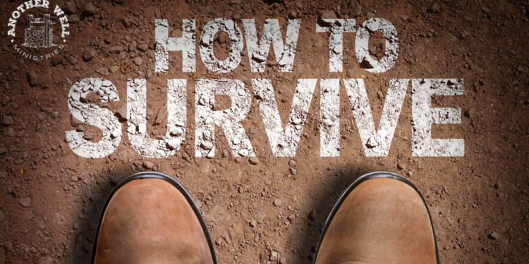 Surviving the bad days