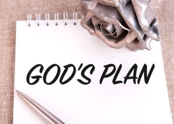 Trust in God’s plan