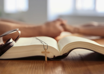 A member of the family