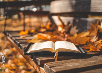 It's just that simple