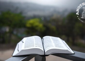 Never miss an opportunity