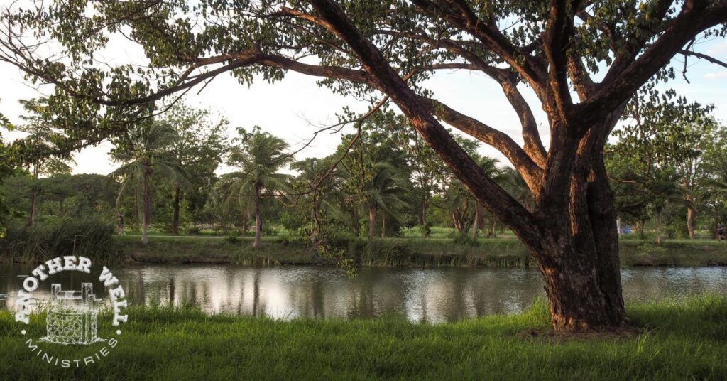 Planted by the water