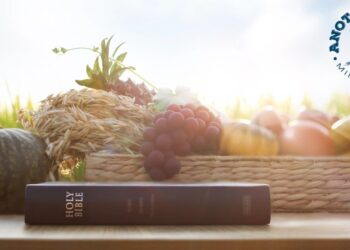 More than enough for you