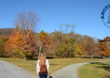 Which one will it be?