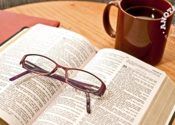 Take advantage of the morning