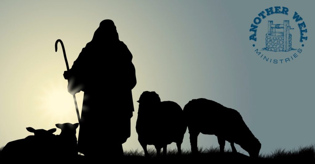 What a Shepherd He is!