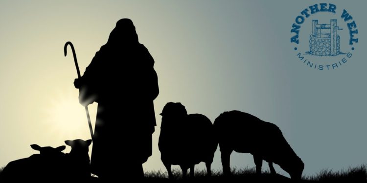 What a Shepherd He is!